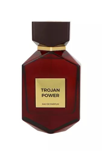 Camara Trojan Power Edp 100ml