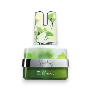 Armaf Scentasy Matcha Magix Edp 100ml – Opinie, Trwałość, Nuty Zapachowe