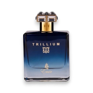 Emir Trillium 100 ml EDP | Arabskie Perfumy Męskie