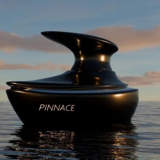 French Avenue Pinnace Noir Edp 100ml – Arabskie Perfumy Premium