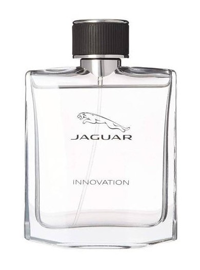 Jaguar Innovation Edt 100ml – Męska Woda Toaletowa