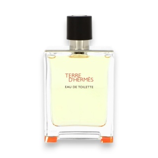 Tester Hermes Terre D`Hermes Edt 100ml