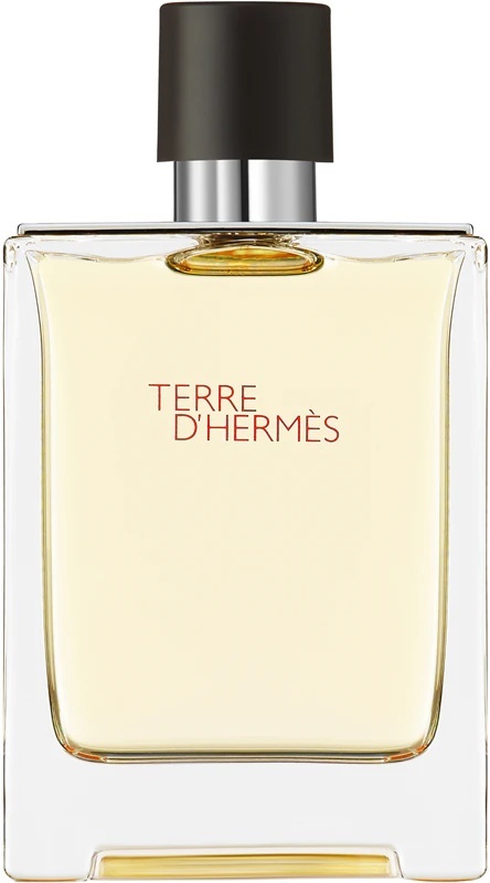 Hermes Terre D`Hermes Edt 100ml